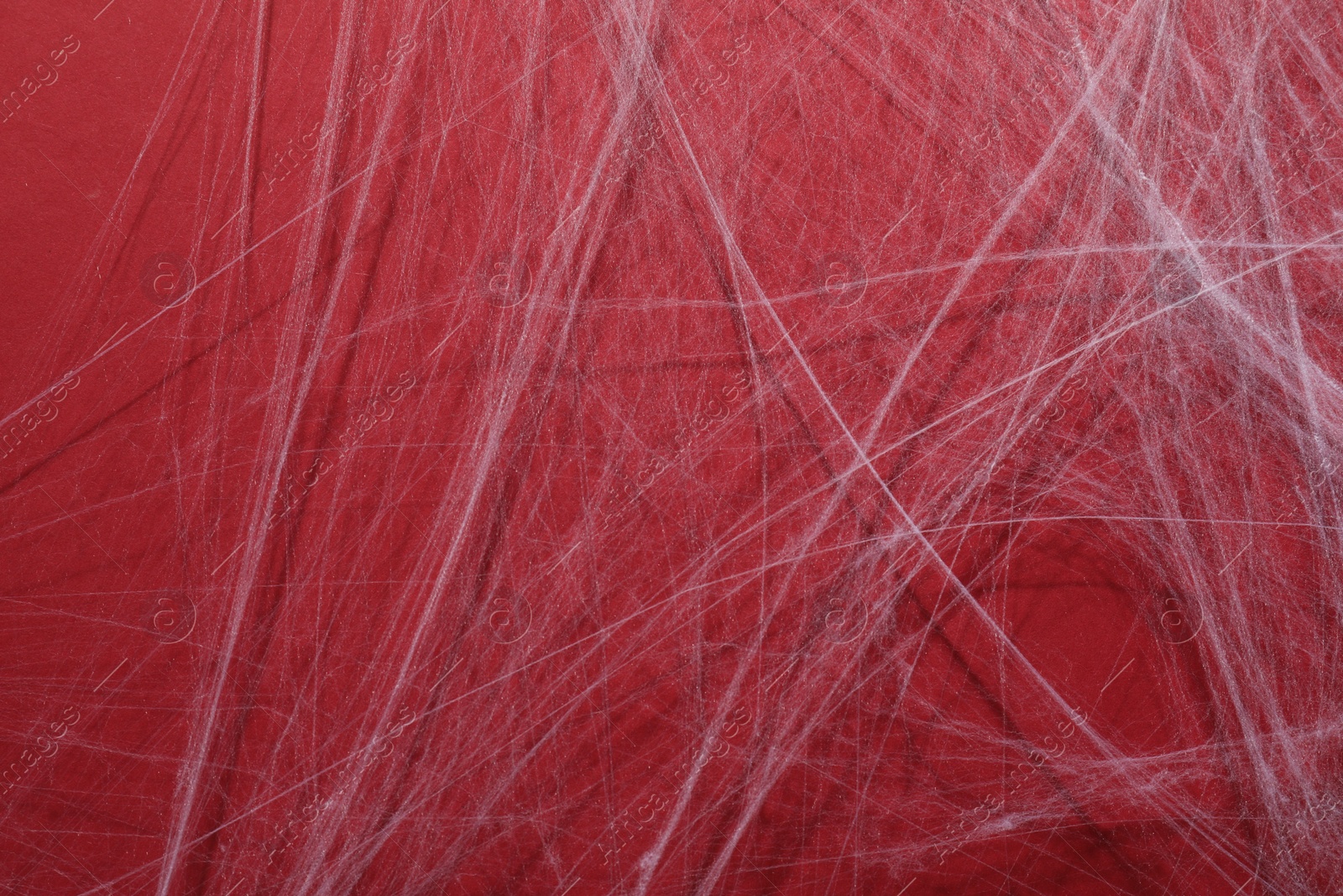 Photo of Creepy white cobweb hanging on red background