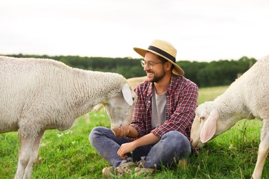 Photo of Smiling man feeding sheep on pasture at farm