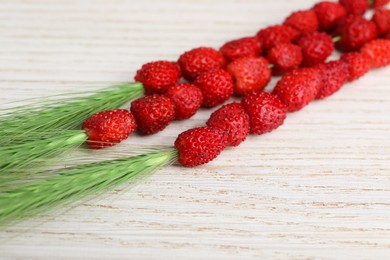 Grass stems with wild strawberries on white wooden table, closeup
