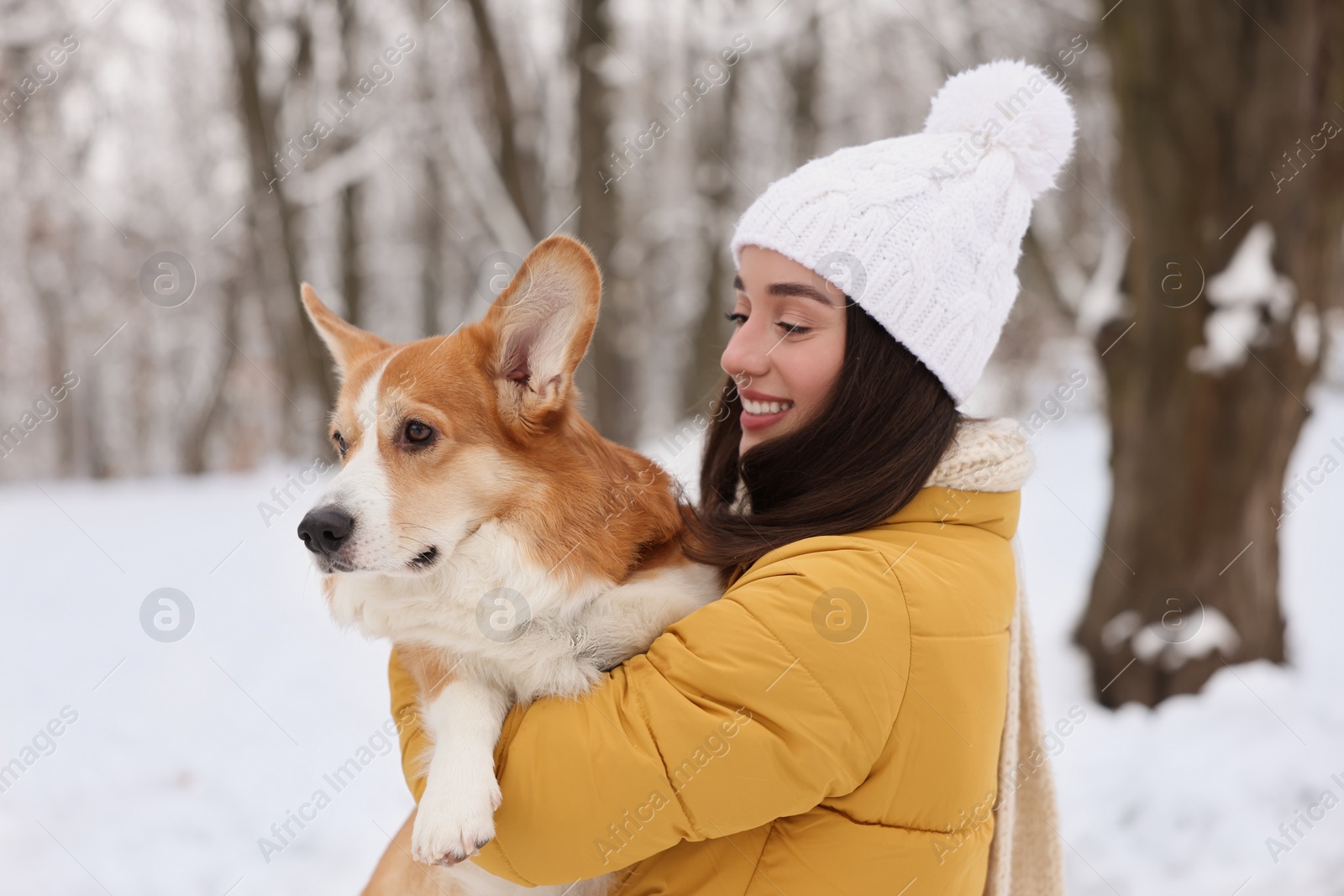 Photo of Woman with adorable Pembroke Welsh Corgi dog in snowy park