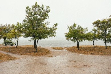 Beautiful view of trees near river during rain in autumn