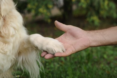 Photo of Man holding dog's paw in park, closeup