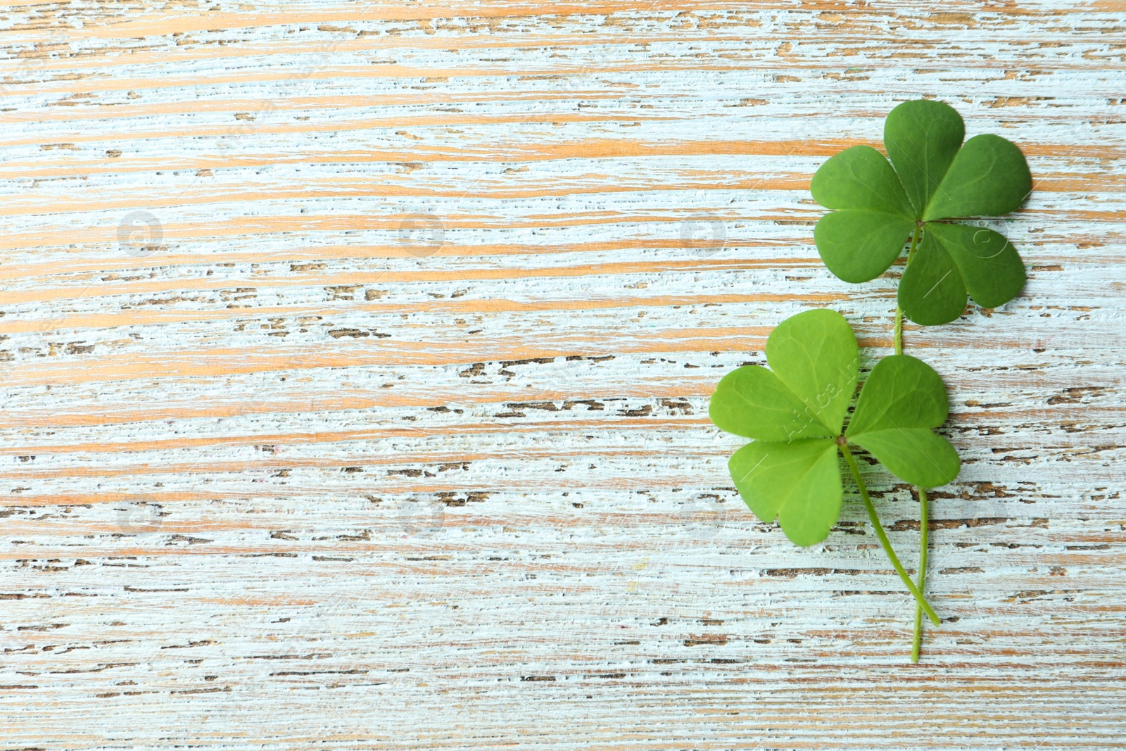 Photo of Clover leaves on light wooden table, flat lay with space for text. St. Patrick's Day symbol