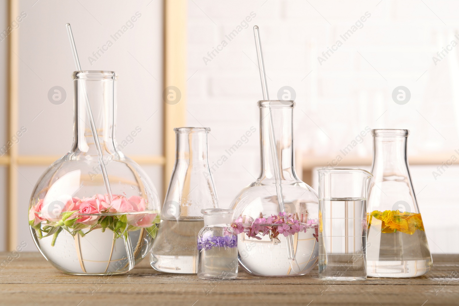 Photo of Laboratory glassware with flowers on wooden table. Extracting essential oil for perfumery and cosmetics