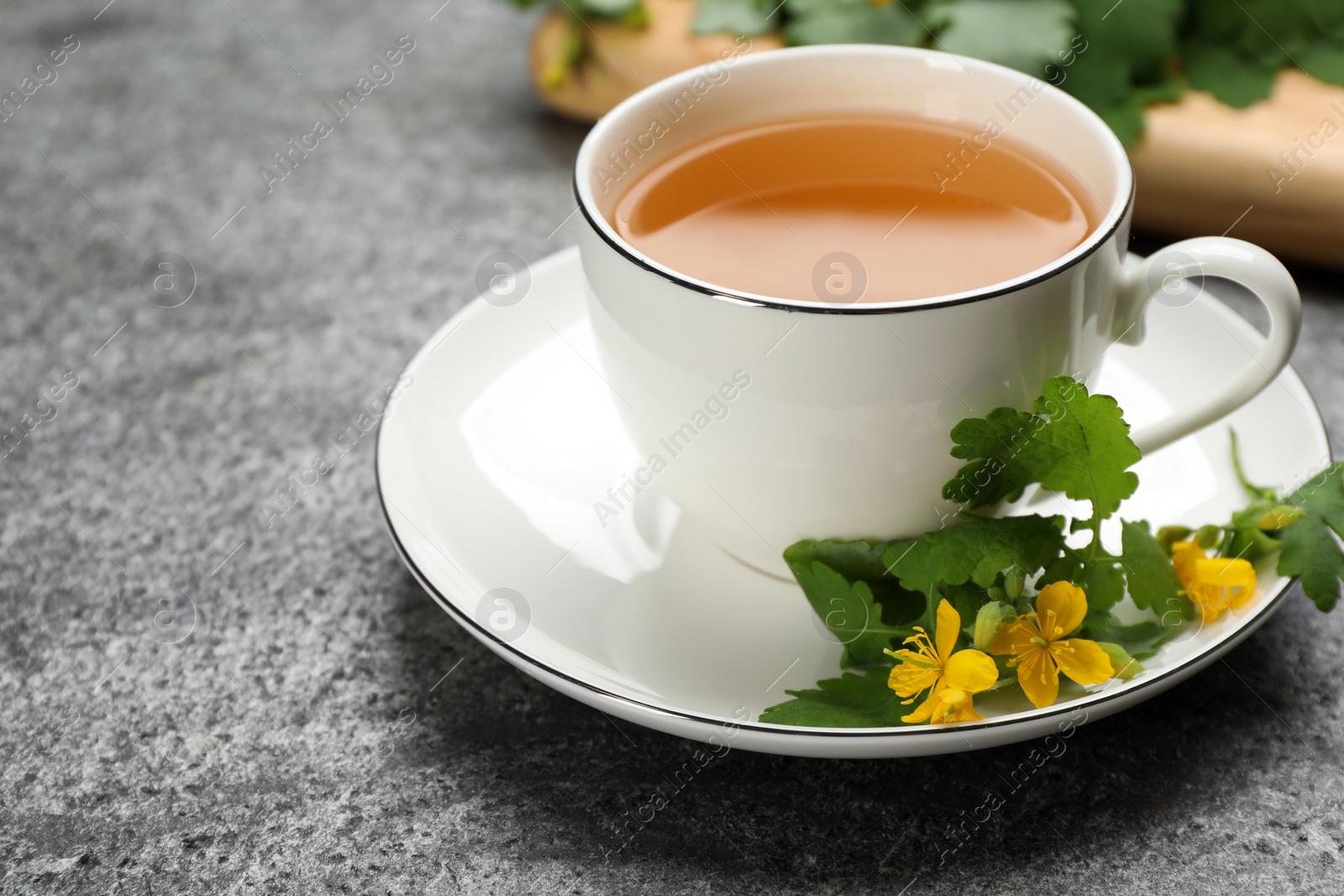 Photo of Cup of aromatic celandine tea and flowers on grey table, closeup. Space for text