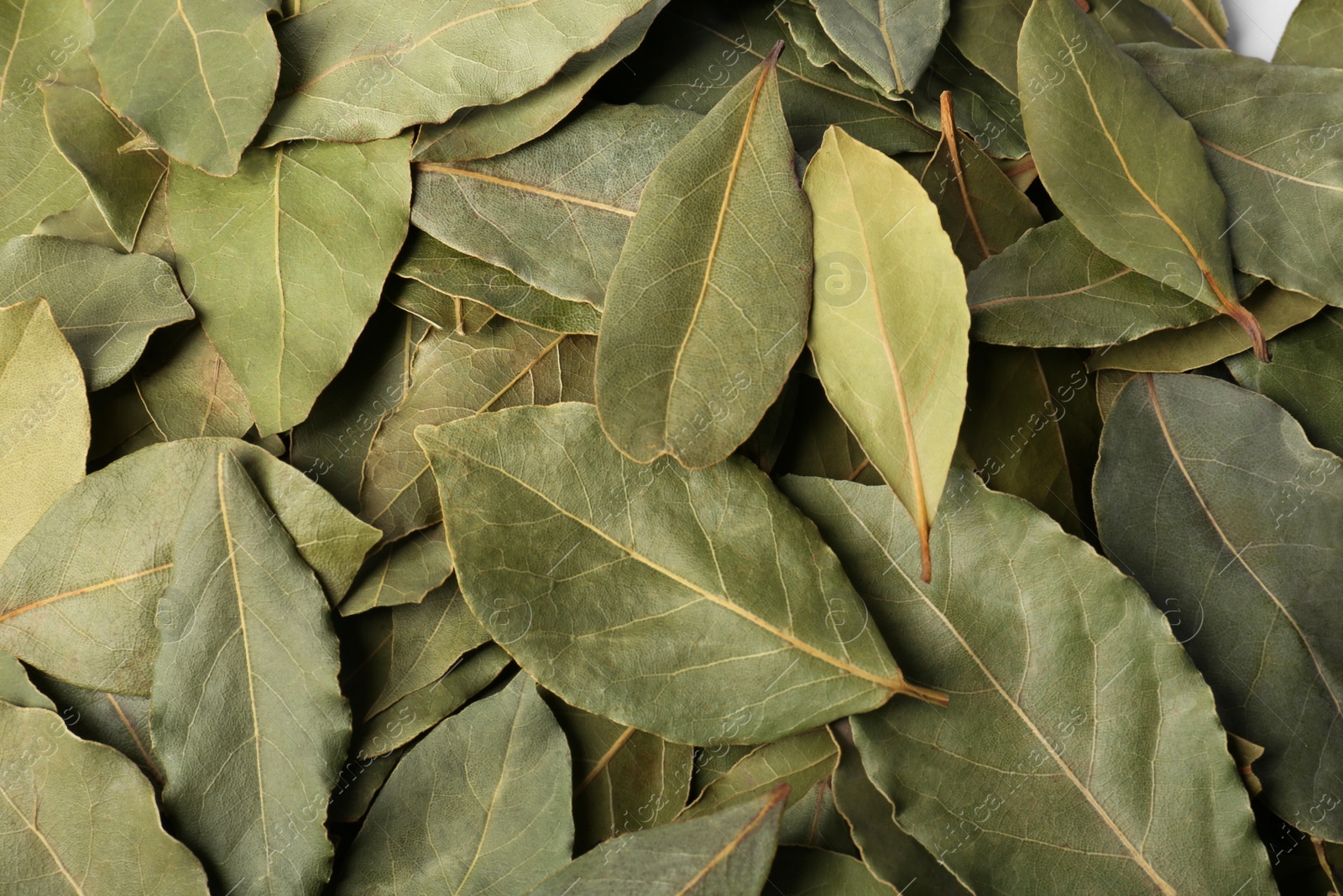 Photo of Pile of aromatic bay leaves as background, top view