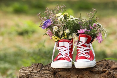 Photo of Beautiful flowers in shoes on log outdoors, space for text
