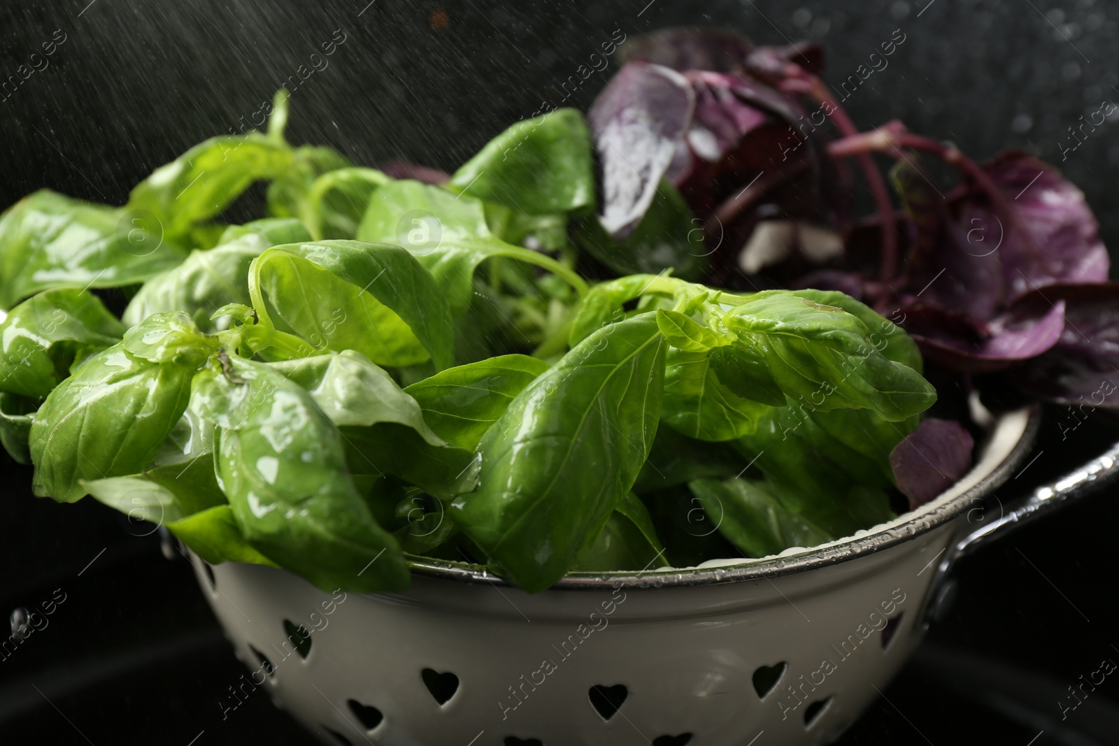 Photo of Washing different fresh basil leaves under tap water in metal colander in sink, closeup