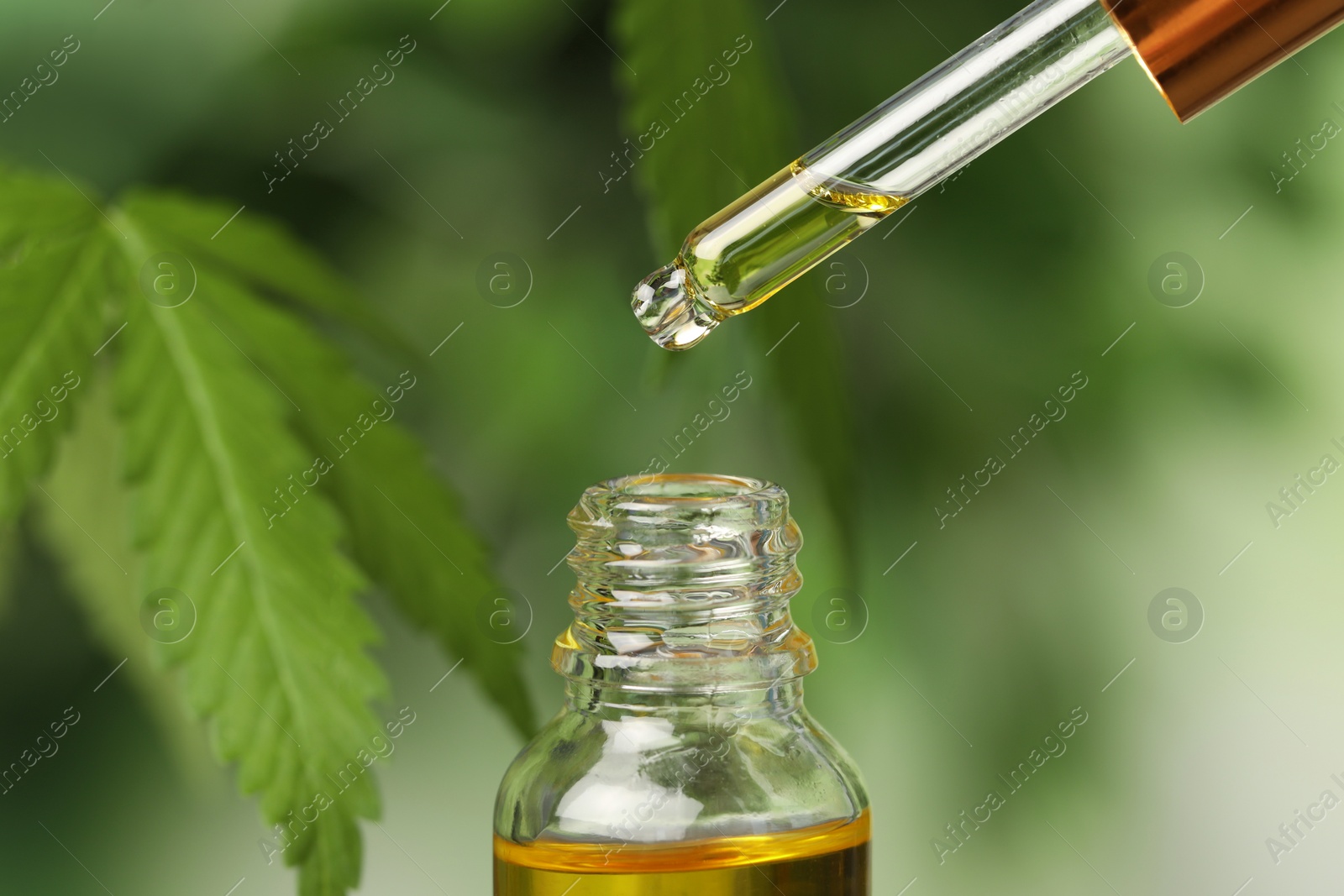 Photo of Dripping CBD oil from pipette against blurred green background, closeup