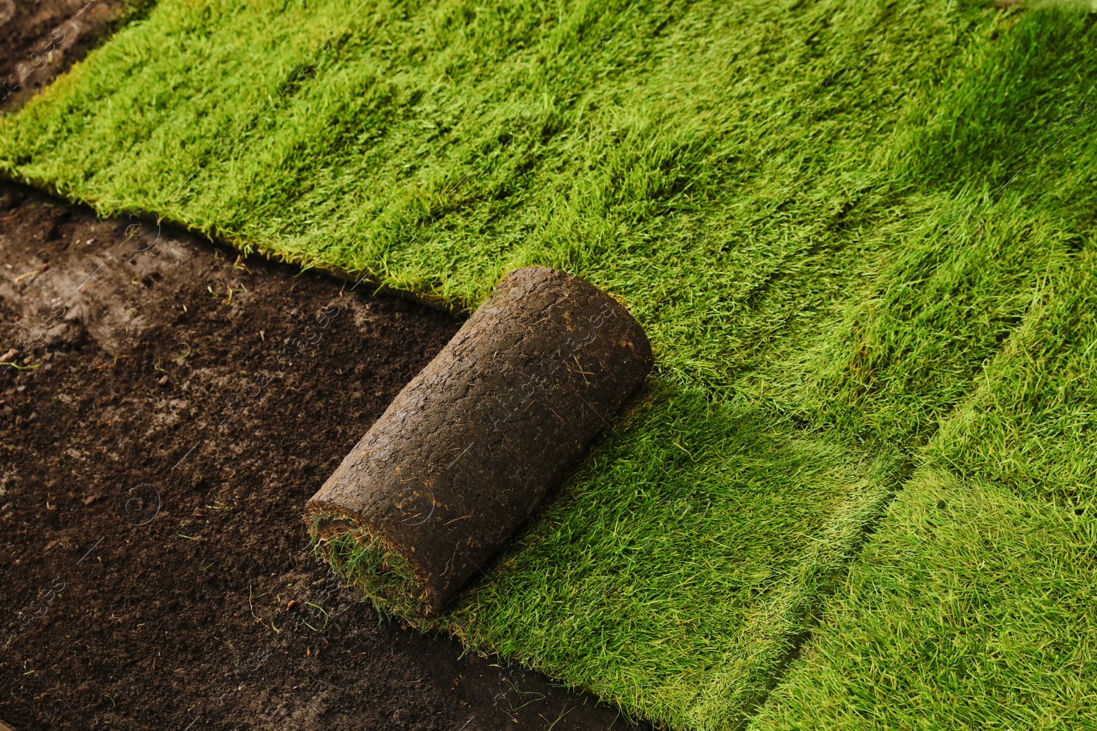 Photo of Laying grass sods at backyard. Home landscaping