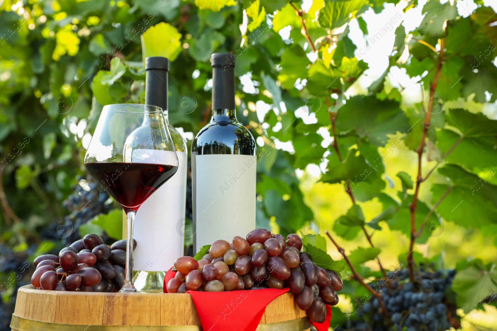 Photo of Composition with wine and ripe grapes on barrel in vineyard