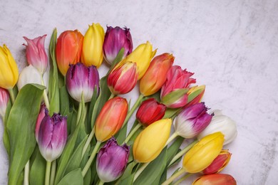 Photo of Beautiful colorful tulip flowers on white stone background, closeup