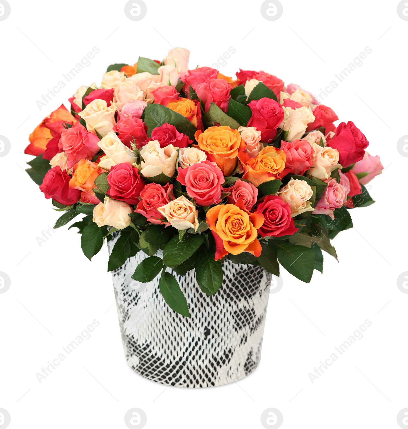 Photo of Bouquet of beautiful roses isolated on white