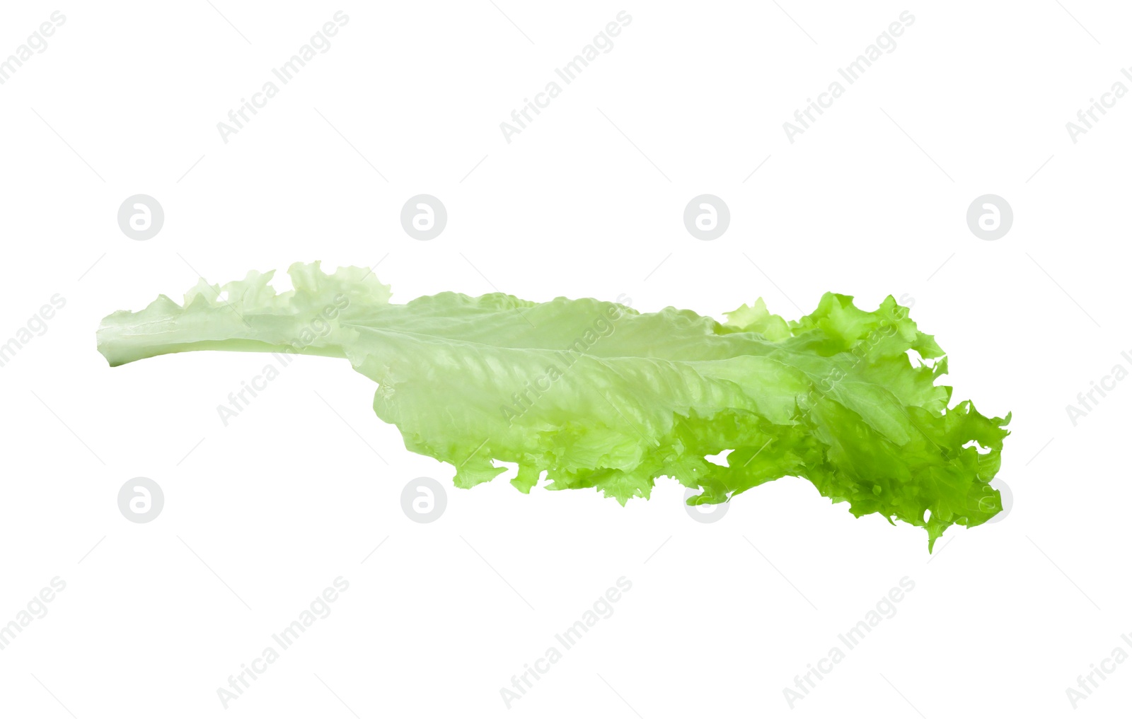 Photo of Fresh green lettuce leaf isolated on white