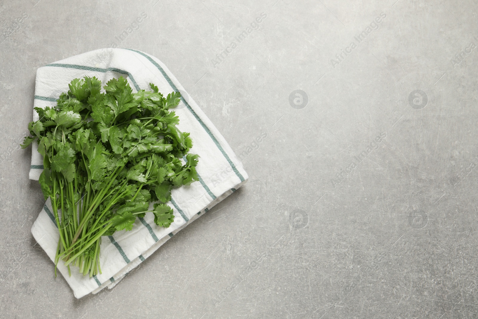Photo of Bunch of fresh green cilantro on light grey table, top view.  Space for text