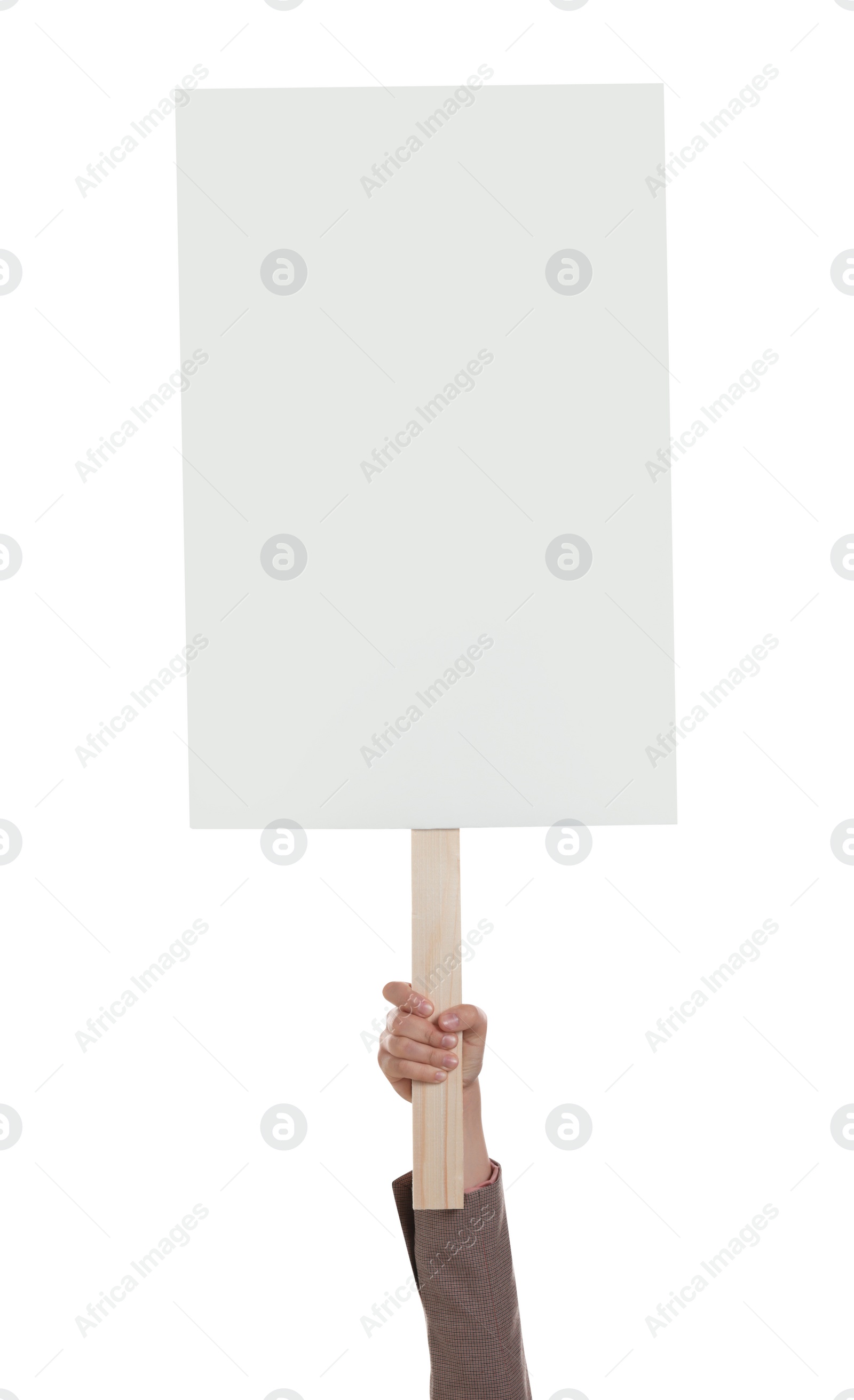 Photo of Woman holding blank protest sign on white background, closeup