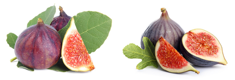 Image of Set of cut and whole figs on white background. Banner design