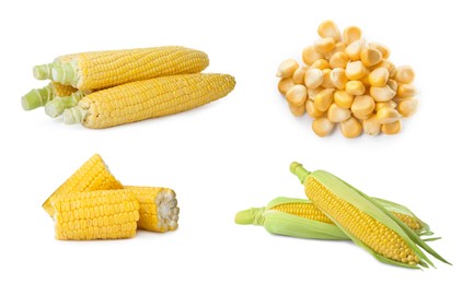 Set with tasty ripe corn cobs and kernels on white background