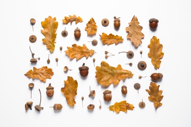 Photo of Flat lay composition with autumn leaves on white background