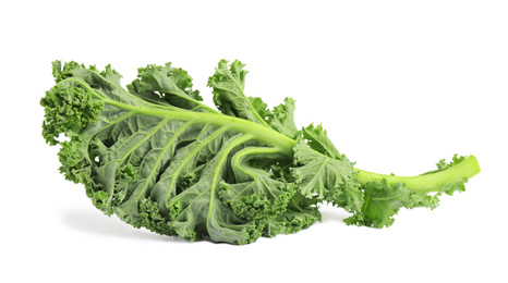 Photo of Fresh green kale leaf isolated on white