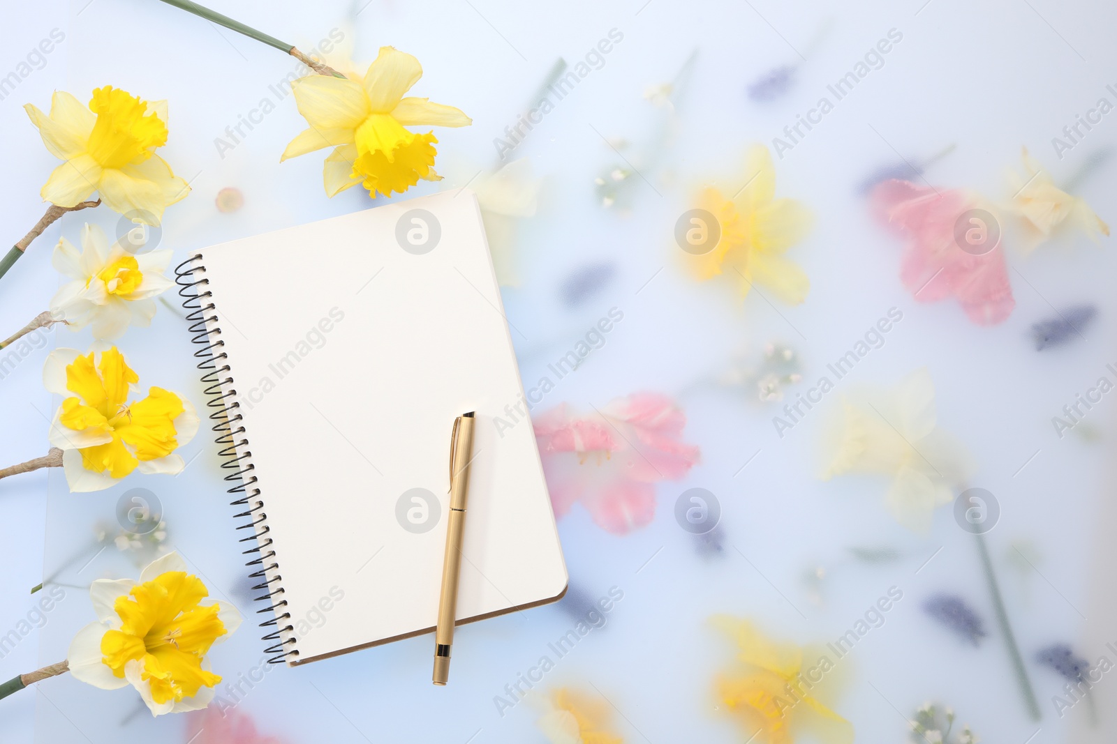 Photo of Guest list. Notebook, pen and daffodils on spring floral background, flat lay. Space for text