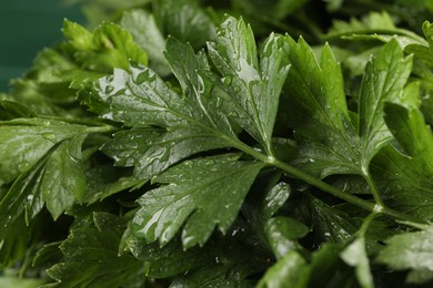 Photo of Fresh green parsley leaves with water drops, closeup