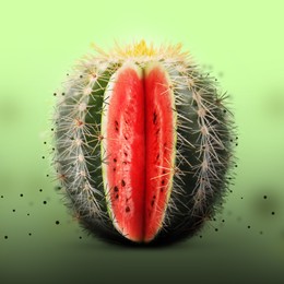 Image of Watermelon hiding in cactus. Cut prickly plant with red fruit flesh inside on light green background
