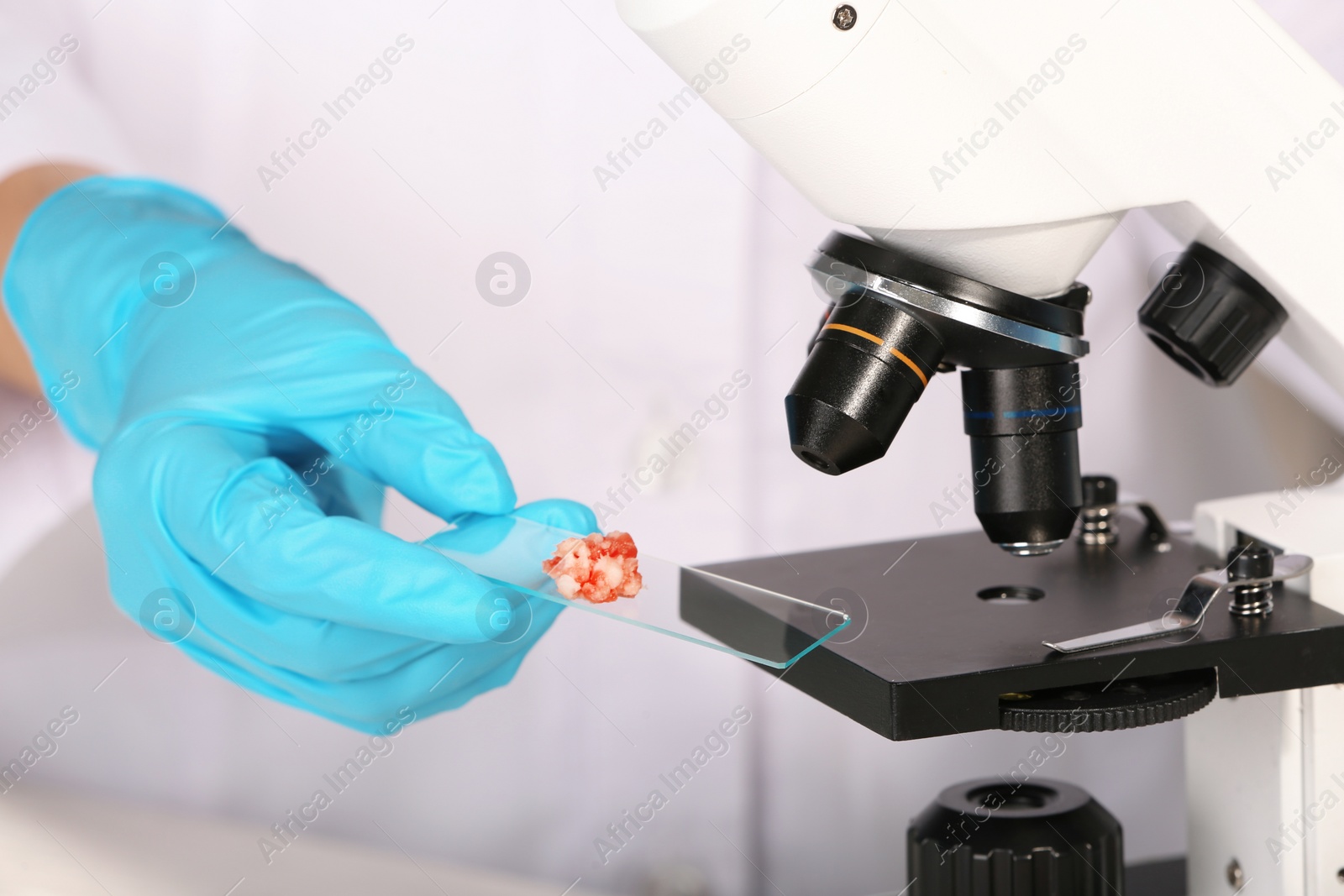 Photo of Scientist inspecting forcemeat sample with microscope, closeup