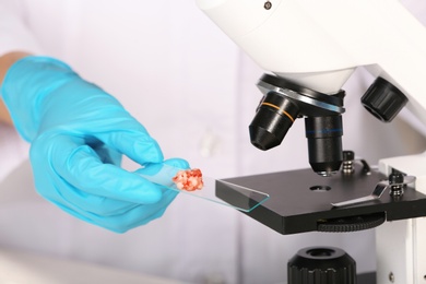 Scientist inspecting forcemeat sample with microscope, closeup