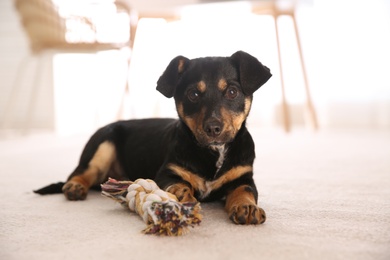 Photo of Cute little black puppy with toy on floor indoors