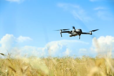 Photo of Modern drone flying over wheat grain field on sunny day. Agriculture industry