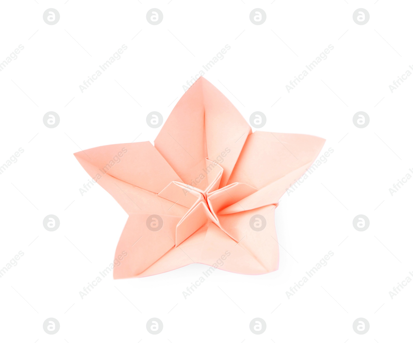 Photo of Origami art. Handmade pink paper flower on white background