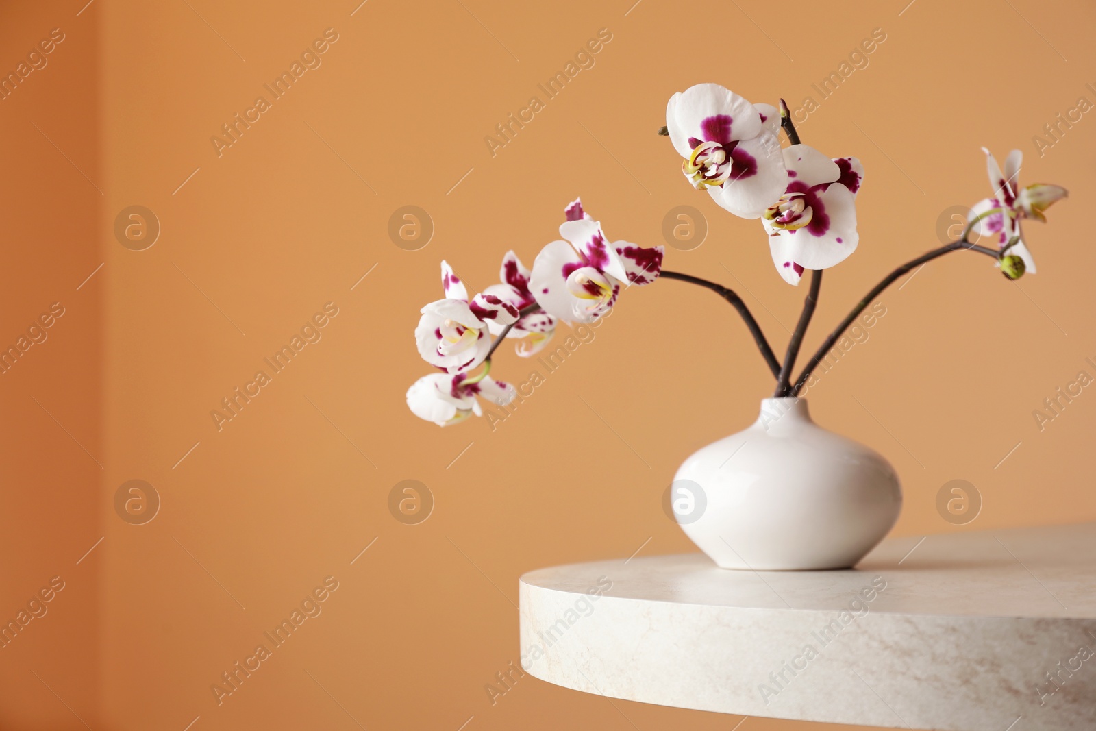 Photo of Vase with orchid flowers on white table near light brown wall. Space for text