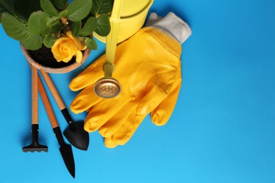 Photo of Gardening gloves, tools and pot with beautiful rose on light blue background, flat lay. Space for text