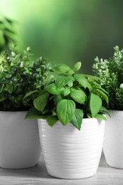 Photo of Different artificial potted herbs on white table