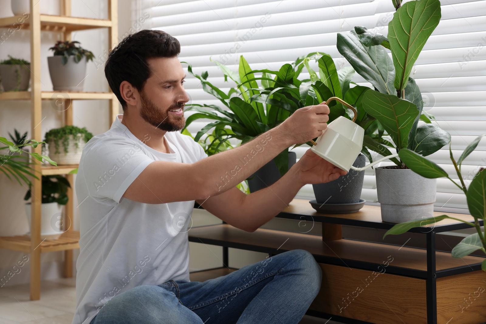 Photo of Man watering beautiful potted houseplants at home