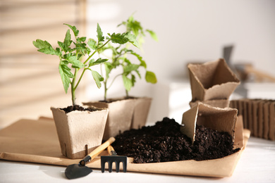 Photo of Green tomato seedlings, peat pots, gardening tools and soil on white table