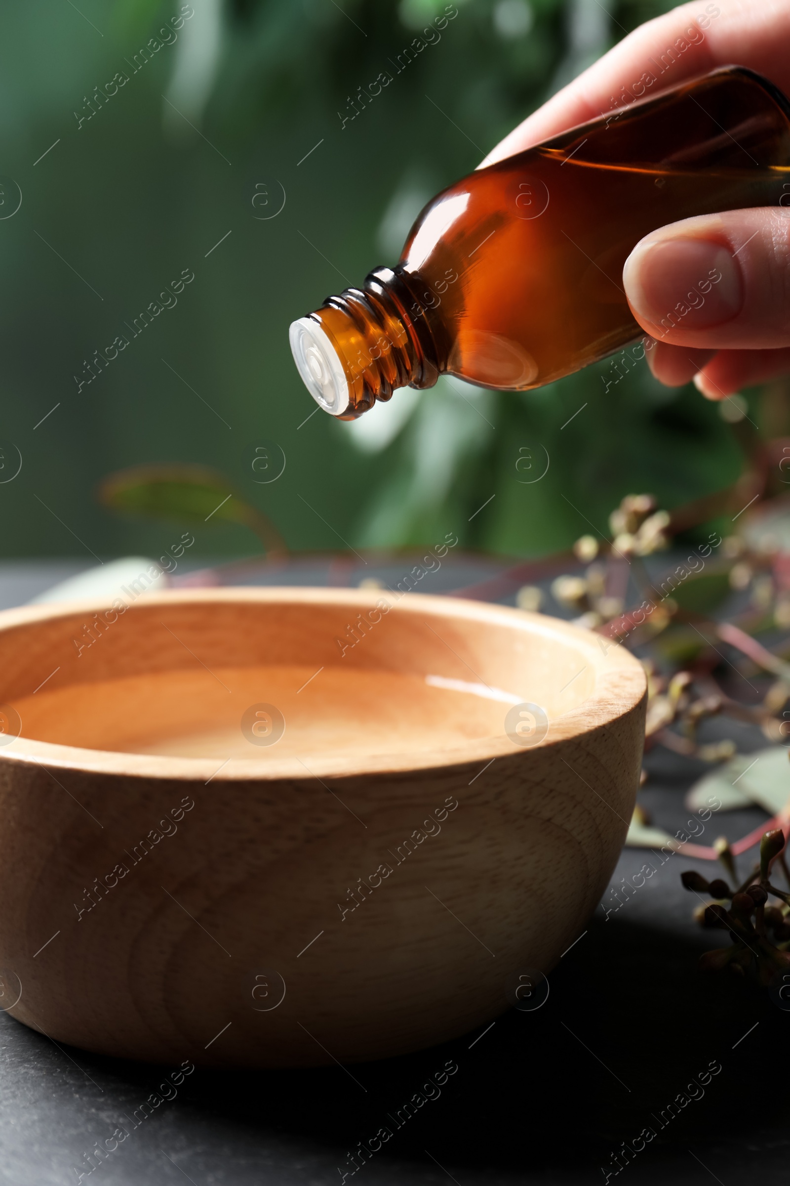 Photo of Woman dripping eucalyptus essential oil from bottle into bowl at grey table, closeup