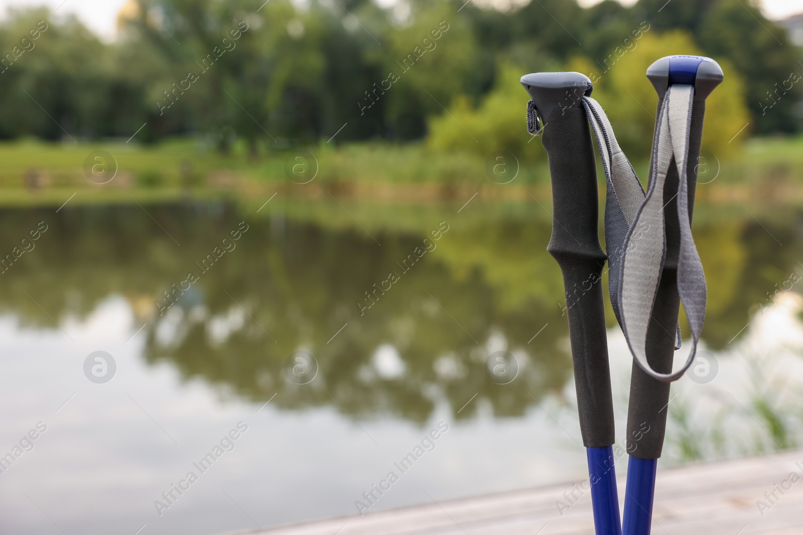 Photo of Two Nordic walking poles outdoors, closeup. Space for text