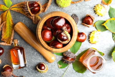 Flat lay composition with fresh horse chestnuts and extract on grey table