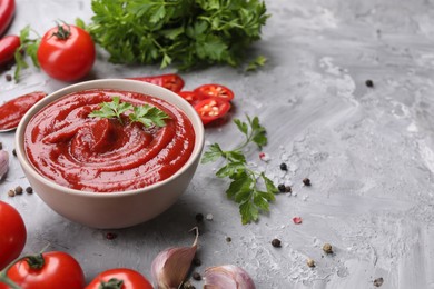 Organic ketchup in bowl and ingredients on grey textured table, space for text. Tomato sauce