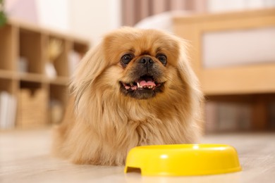 Photo of Cute Pekingese dog near pet bowl in room