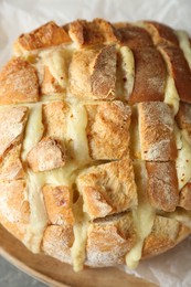 Freshly baked bread with tofu cheese on table, closeup