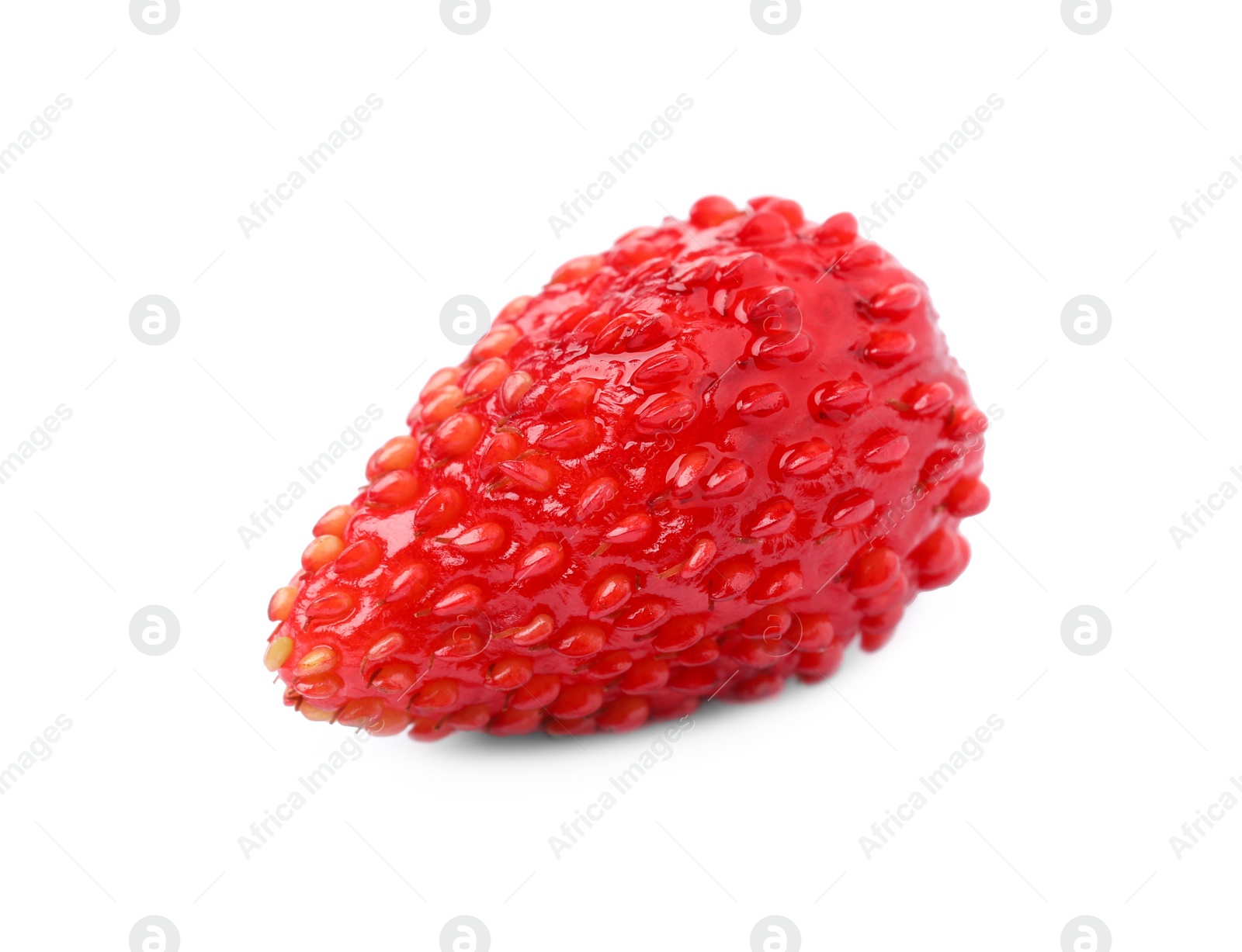 Photo of One ripe wild strawberry isolated on white