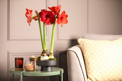 Photo of Beautiful red amaryllis flowers on table in room