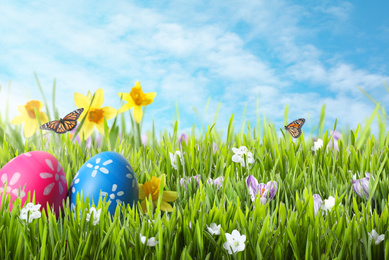 Image of Bright Easter eggs in green grass and butterflies against blue sky