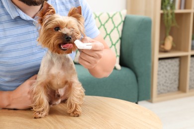 Photo of Man brushing dog's teeth on wooden table at home, closeup. Space for text