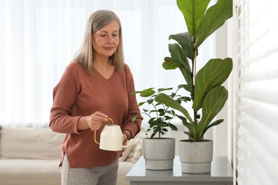 Photo of Senior woman watering beautiful potted houseplants at home