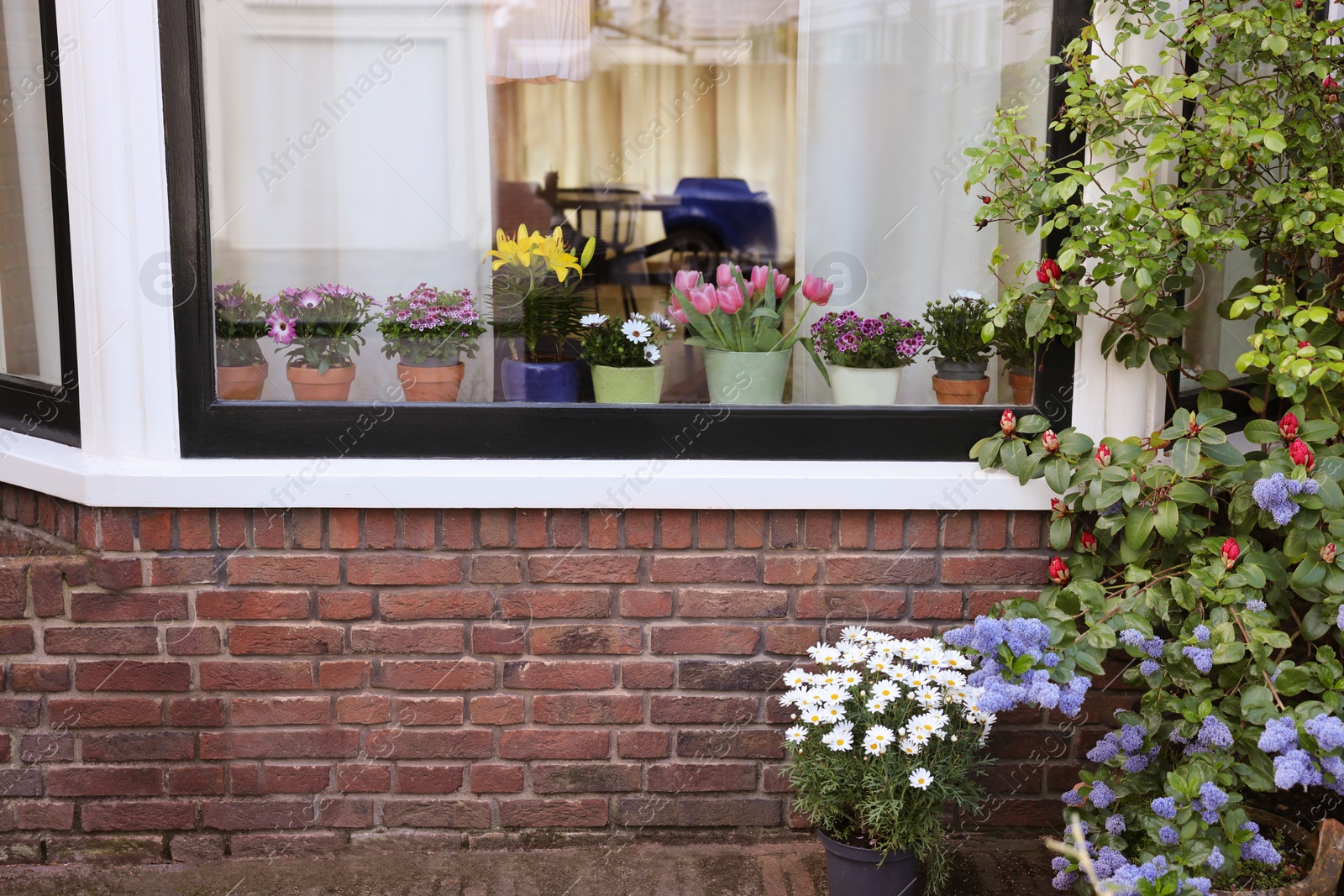 Photo of House decorated with many beautiful potted flowers, view from outside