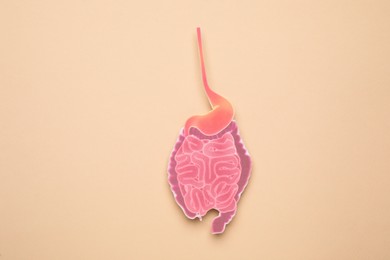 Paper cutout of small intestine on beige background, top view
